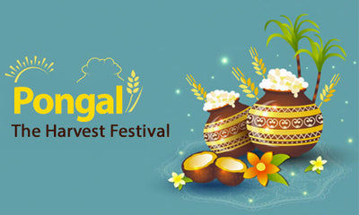 Pongal -  The Harvest Festival