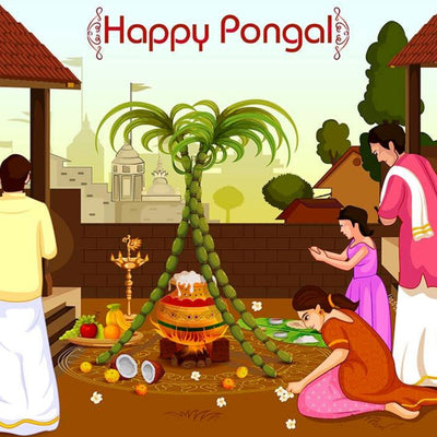 The Story of Pongal