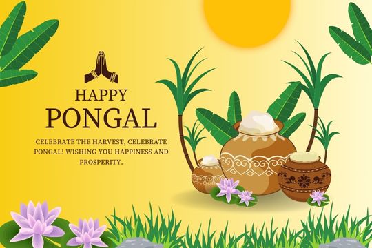 Indian pongal grocery store online UK