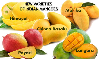 New varieties of  Indian Mangoes