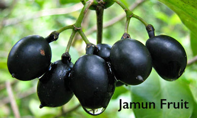 Jamun Fruit