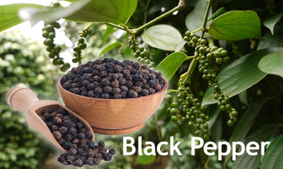 Black Pepper