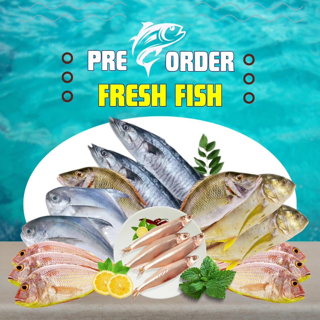 Fresh Fish