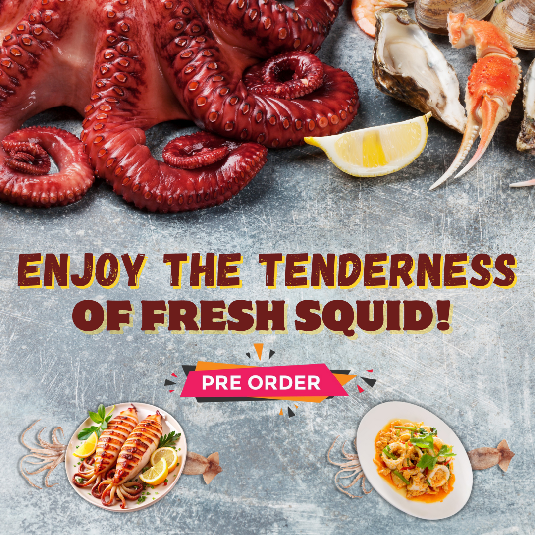Pre Order Squid