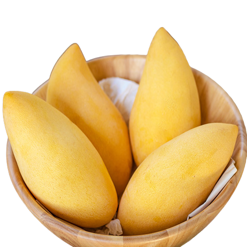 MALLIKA MANGOES