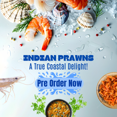 PRE-ORDER PRAWN