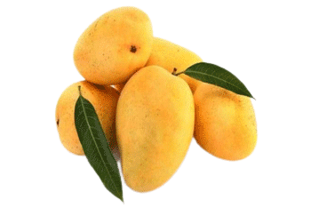 Mango Lassi – Lakshmi Stores UK