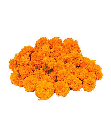 Buy Marie Gold Flower Orange 100g Online