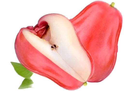 WATER APPLE