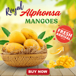 Buy Alphonso Mangoes Box Online