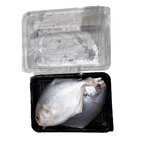 Buy Pre-Order Gold Pomfret Claened 750G To 850G Online