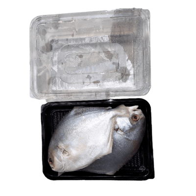 Buy Pre-Order Gold Pomfret cleaned  Online from Lakshmi Stores, UK