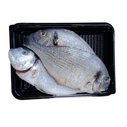 Buy Pre-Order Indian Seabass Cleaned 750G To 850G Online