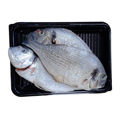 PRE-ORDER INDIAN SEABASS CLEANED 750G TO 850G