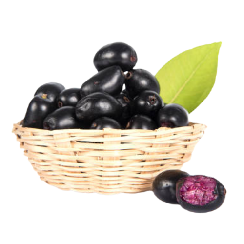Buy Jamun Fruit (Navalpalam) 1 Pack (Approx 230G to 270G) Online