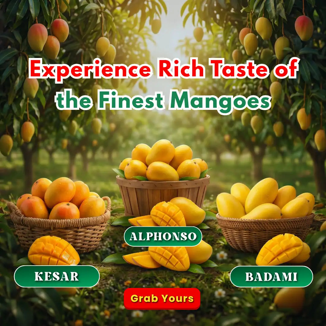 files/Mangoes_Banner.webp
