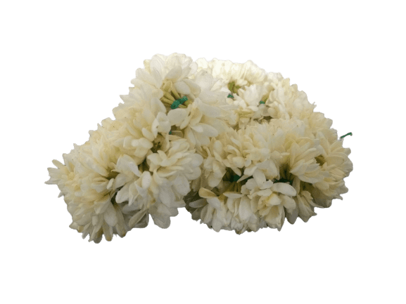 Buy Jasmine Flower 1 Box (5 Strings) Online
