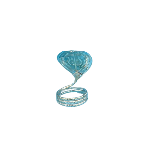 Buy Silver Nagam 2Inches Online