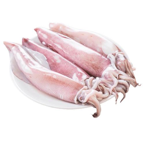 Buy Pre-Order Squid Cleaned 750G To 850G Online