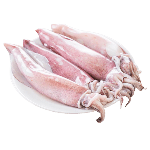 PRE-ORDER SQUID CLEANED 750G TO 850G