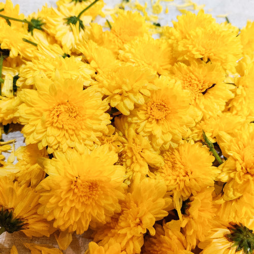 Buy Chryasanthemum (Sevvanthi) Flower 100G Online