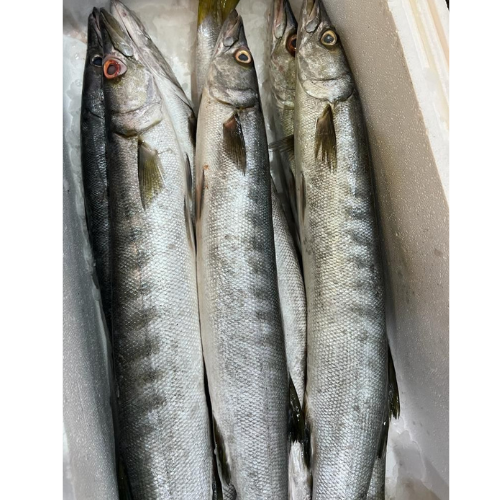 Buy Fresh Barracuda (Seela) Fish Cleaned Online from Lakshmi Stores, UK