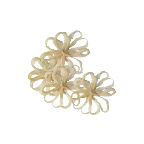 Buy Lotus Stem Wicks Online