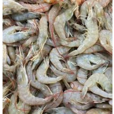 PRE-ORDER PRAWN UNCLEANED 1KG