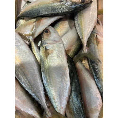 Buy Pre-Order Indian Mackerel Cleaned 750G To 850G Online