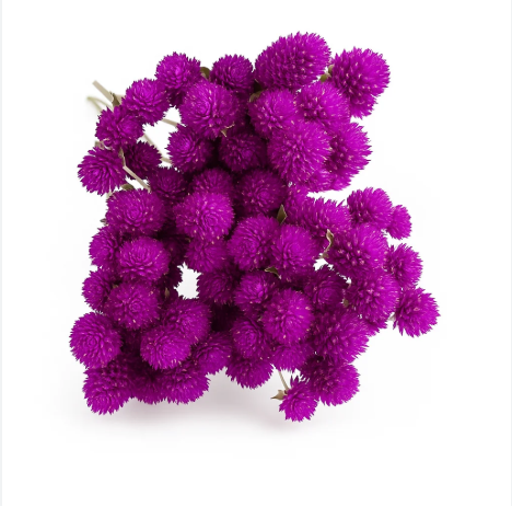 VADAMALLI  FLOWER 100G