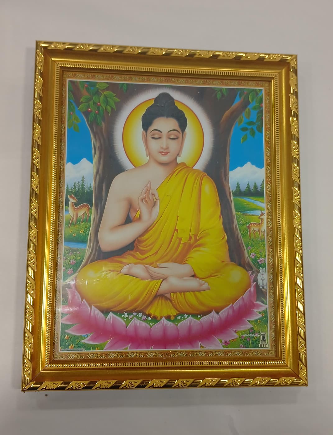 GOD PHOTO A4 SIZE WITH FRAME - BUDHAR