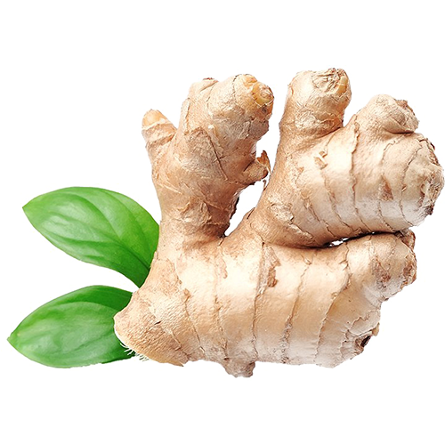 Buy Fresh Ginger 1KG Online