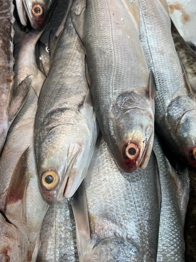 Buy Fresh Indian Salmon (Kaalai) Cleaned Online from Lakshmi Stores, UK