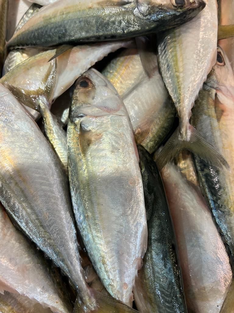 FRESH INDIAN MACKEREL (KUMBULA) CLEANED 1KG