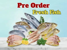 Fresh Fish