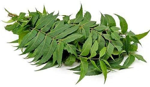Buy Neem Leaf 1 Pack Online