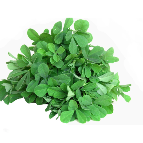 Buy METHI LEAF (FENUGREEK LEAF) Online in UK