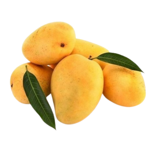 buy ALPHONSO MANGOES online in UK, Lakshmi Stores, UK