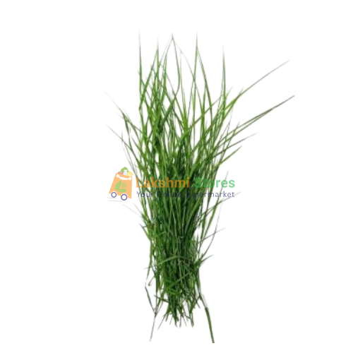 Buy Arugampul (Grass) 1 Pack Online