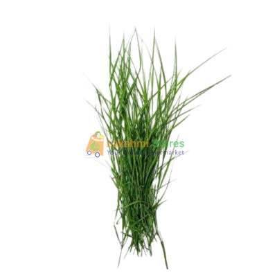 Buy ARUGAMPUL (GRASS) Online in UK