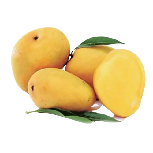 Buy Banganapalli (Badami) Mangoes Box Online