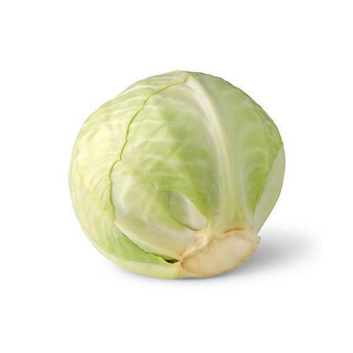 Buy Cabbage White 1 Piece Online