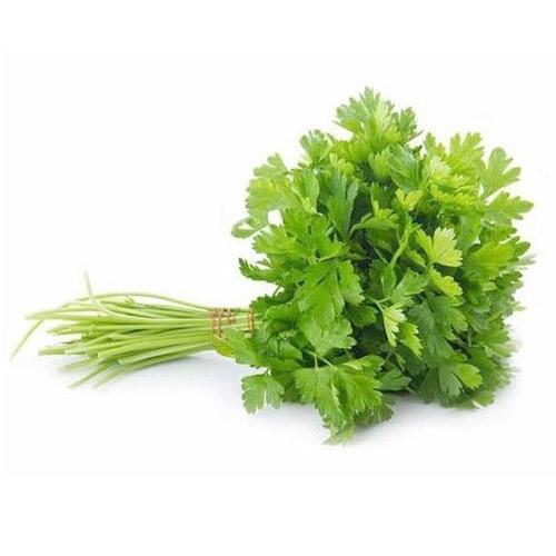 Buy Fresh Coriander Leaves 2 Bunch Online