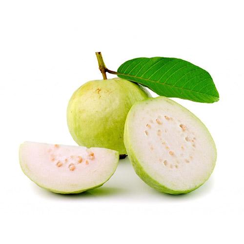 Buy Indian Guava 1KG Online