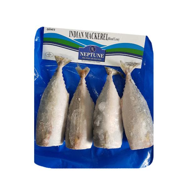 Buy Neptune Frozen Mackerel Fish 600g Headless Online