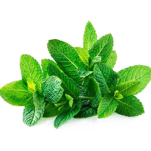 Buy Fresh Mint Leaves (Puthina Keerai) - 1 Bunch Online