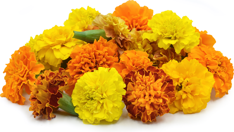 Buy Mixed Flowers Online fromLakshmi Stores, UK