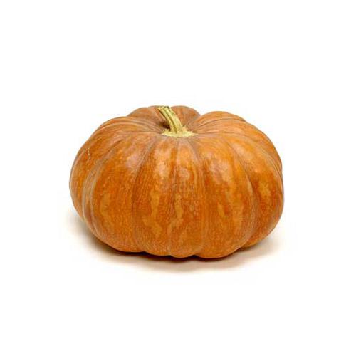 INDIAN PUMPKIN ORANGE (POOSANIKKAI)