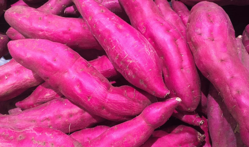 Buy SWEET POTATO RED Online in UK