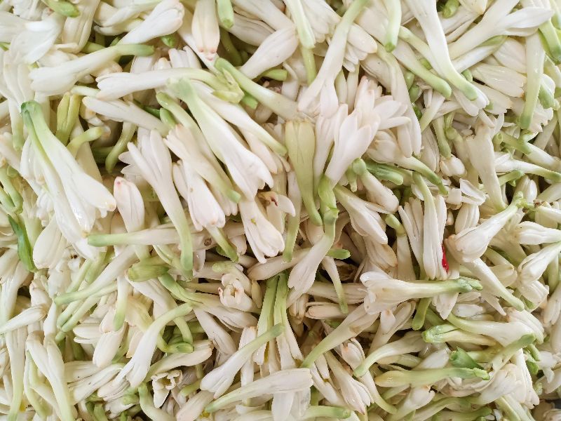 Buy SampangI Flower (Tube Rose) 100g Online